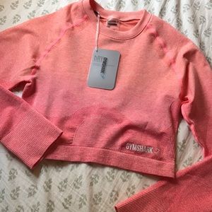 Ombre Seamless Crop Top